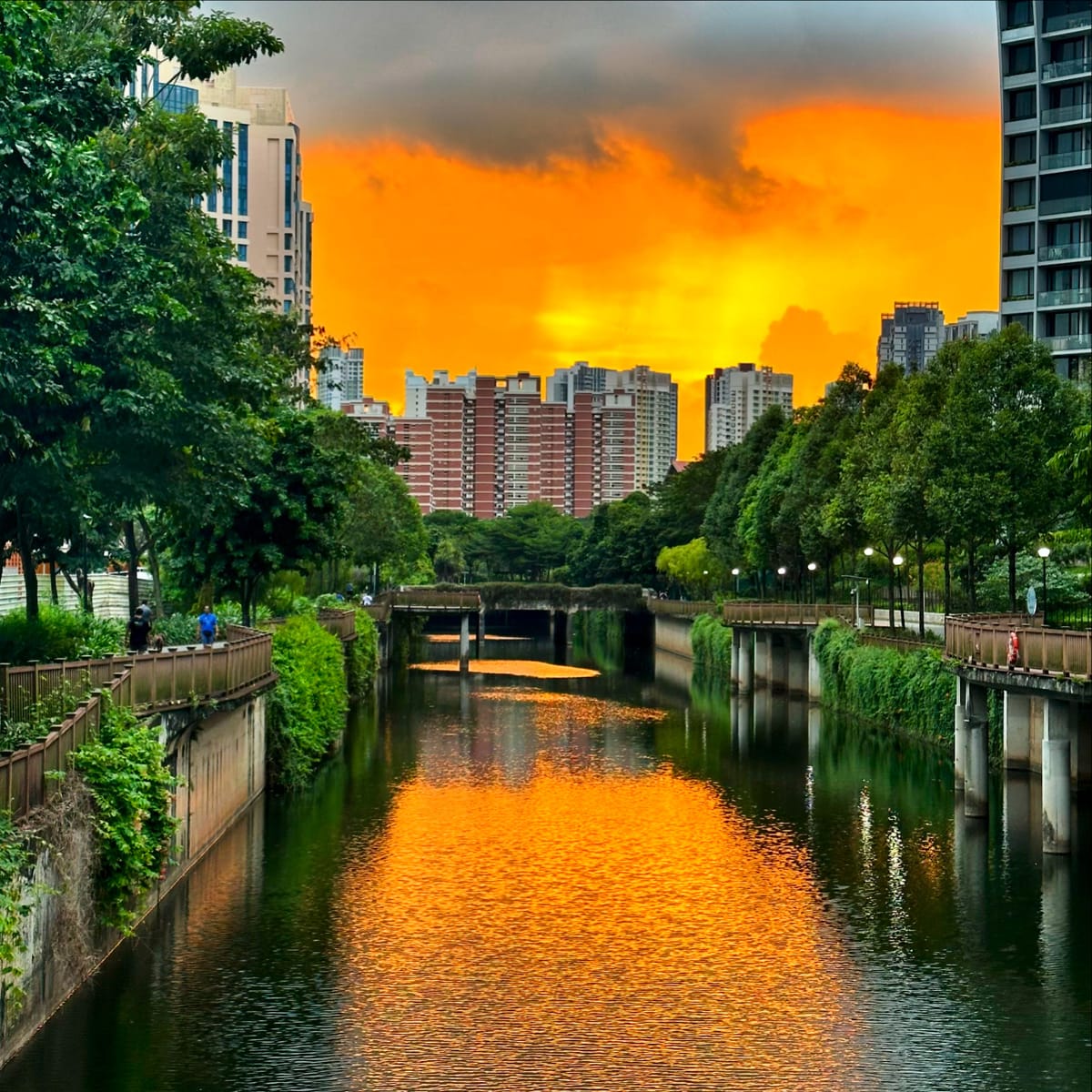 Sunset at Alexandra Canal, Singapore
